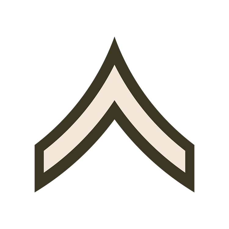 PVT Insignia